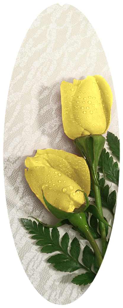 DNSA18-059 2 Roses Yellow